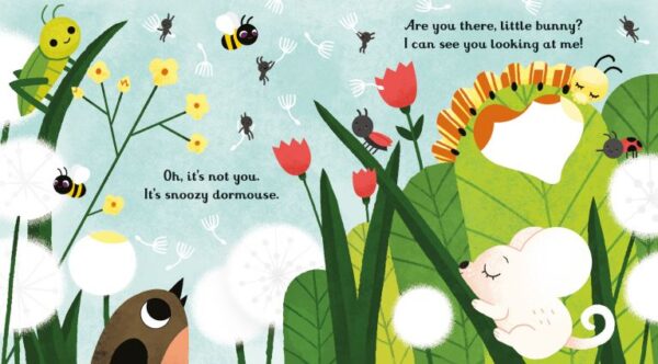 Carte cu activitati – Are you there little bunny?
