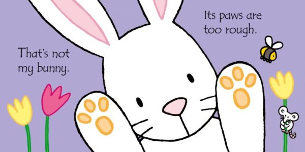 That's not my bunny... book and toy