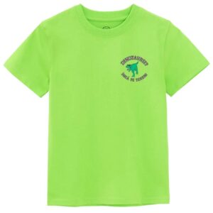 Tricou verde pentru băieți cu imprimeu dinozaur